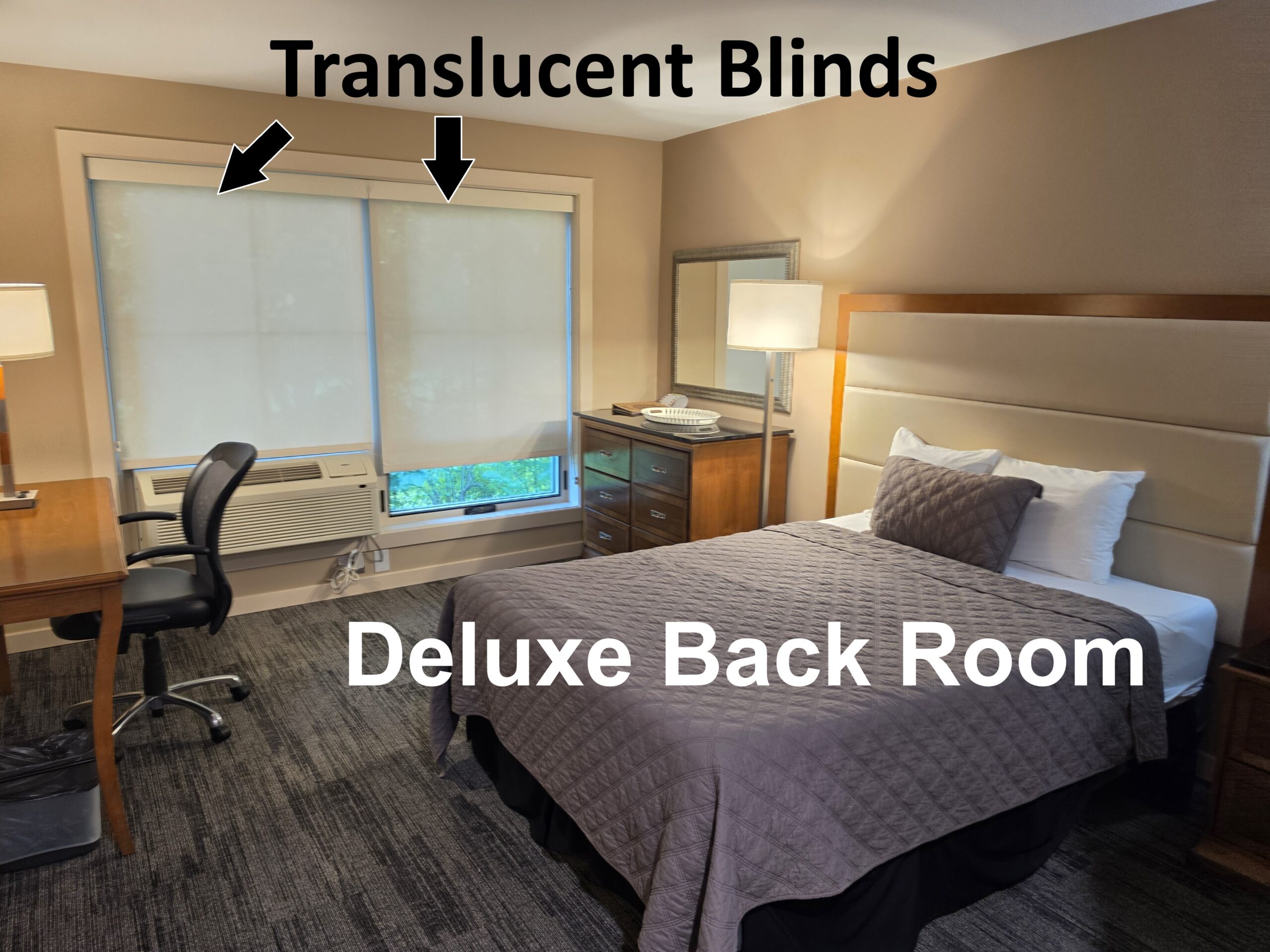 deluxe room - translucent blinds
